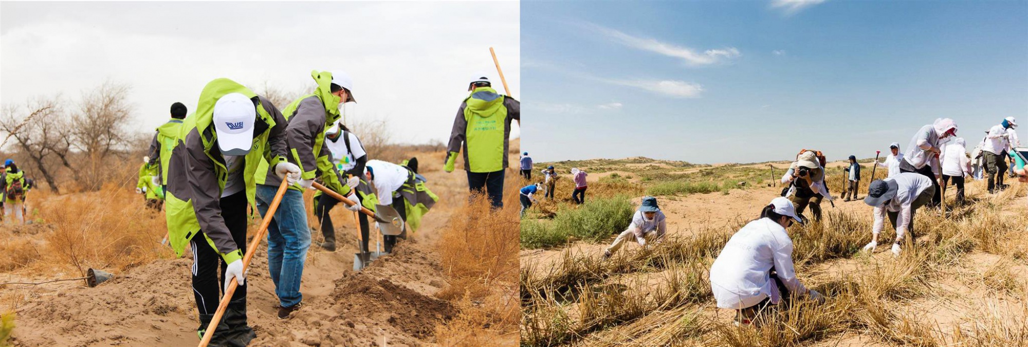 USI Planted 20,000 Trees in Inner Mongolia and Ningxia to Combat Desertification